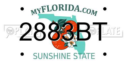 2883BT Florida License Plate