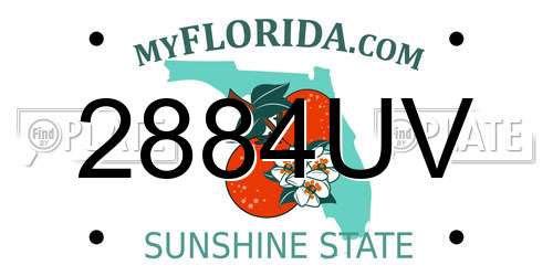 2884UV Florida License Plate