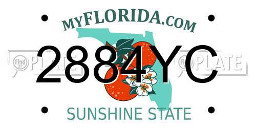 2884YC Florida License Plate