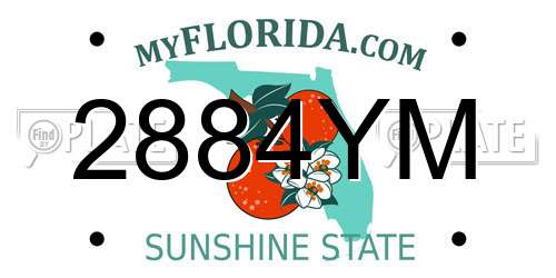 2884YM Florida License Plate