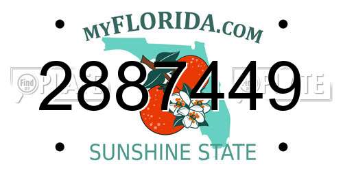 2887449 Florida License Plate