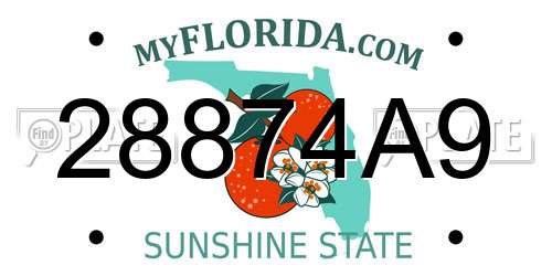 28874A9 Florida License Plate