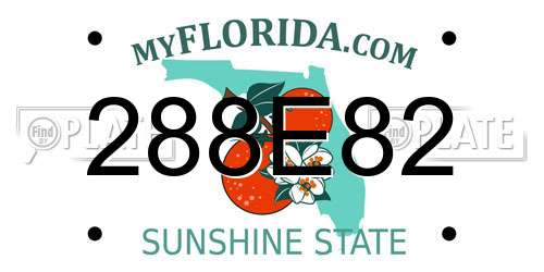 288E82 Florida License Plate