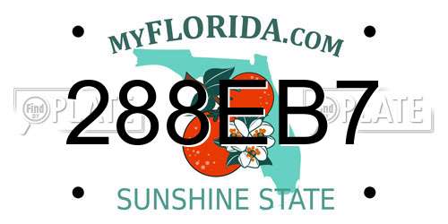288EB7 Florida License Plate
