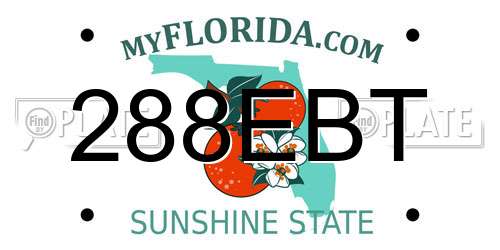 288EBT Florida License Plate