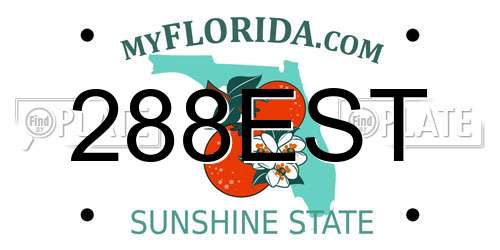 288EST Florida License Plate