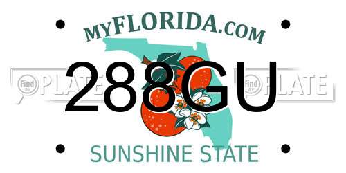 288GU Florida License Plate