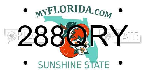 288QRY Florida License Plate