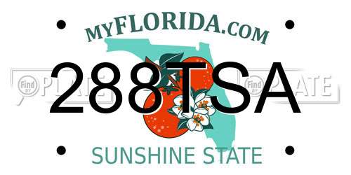 288TSA Florida License Plate