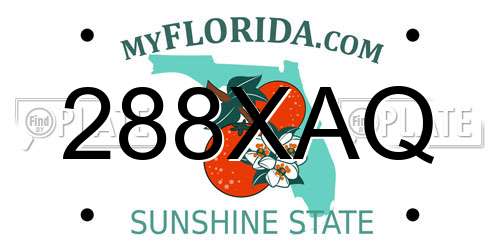 288XAQ Florida License Plate