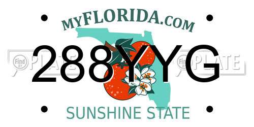 288YYG Florida License Plate