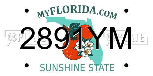 2891YM Florida License Plate