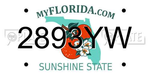 2893YW Florida License Plate