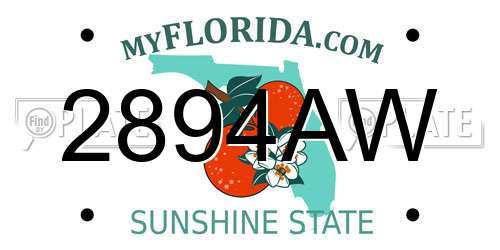 2894AW Florida License Plate