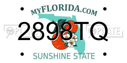 2898TQ Florida License Plate