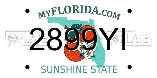 2899YI Florida License Plate
