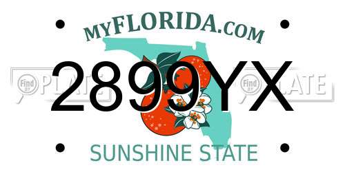2899YX Florida License Plate