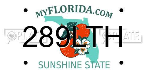 289LTH Florida License Plate