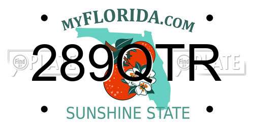 289QTR Florida License Plate