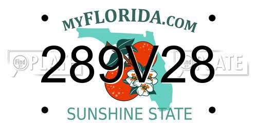 289V28 Florida License Plate