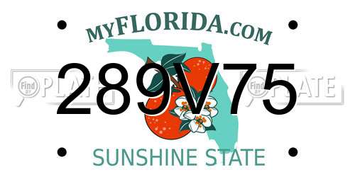 289V75 Florida License Plate