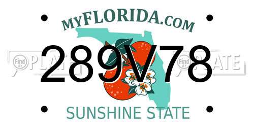 289V78 Florida License Plate
