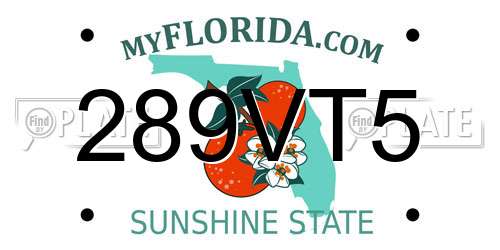 289VT5 Florida License Plate