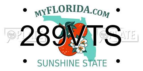 289VTS Florida License Plate