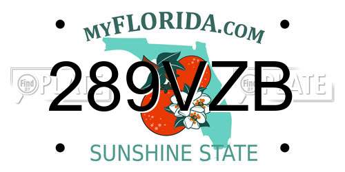 289VZB Florida License Plate