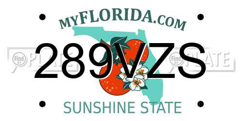 289VZS Florida License Plate