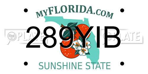 289YIB Florida License Plate