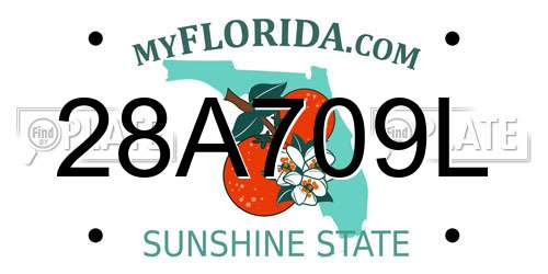 28A709L Florida License Plate