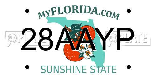 28AAYP Florida License Plate