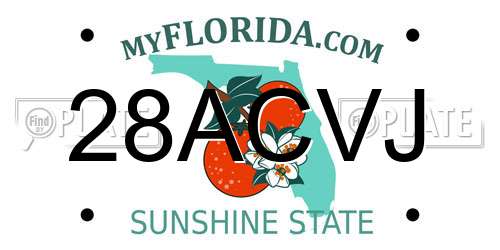 28ACVJ Florida License Plate