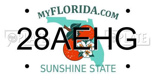 28AEHG Florida License Plate