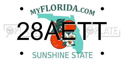 28AETT Florida License Plate