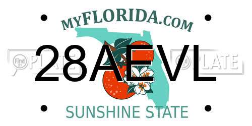 28AEVL Florida License Plate