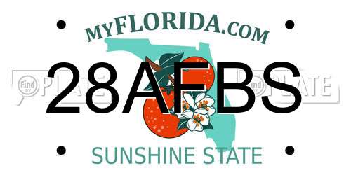 28AFBS Florida License Plate
