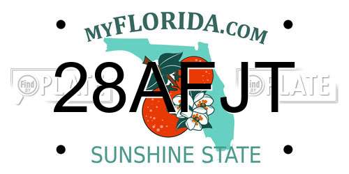 28AFJT Florida License Plate