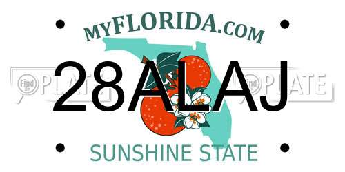 28ALAJ Florida License Plate