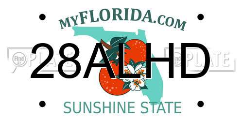 28ALHD Florida License Plate