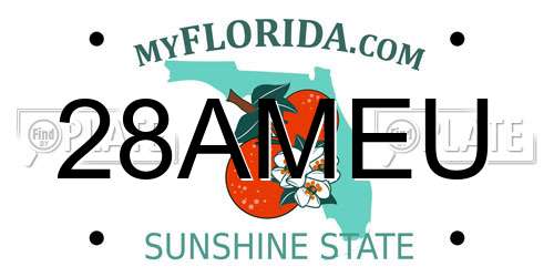 28AMEU Florida License Plate