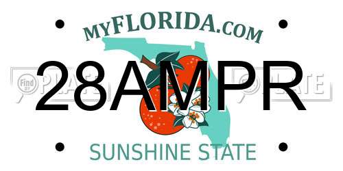 28AMPR Florida License Plate
