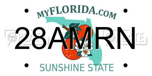 28AMRN Florida License Plate