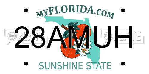 28AMUH Florida License Plate