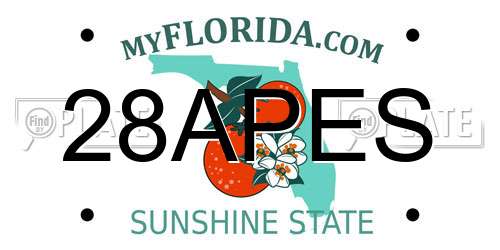 28APES Florida License Plate