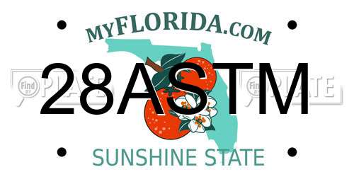 28ASTM Florida License Plate