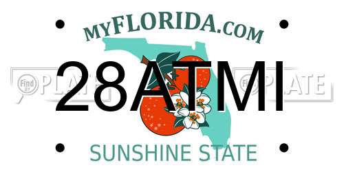 28ATMI Florida License Plate