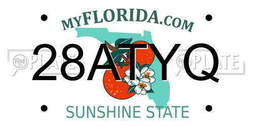 28ATYQ Florida License Plate