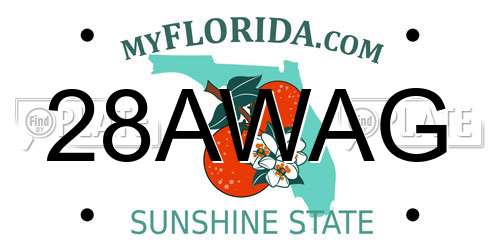 28AWAG Florida License Plate